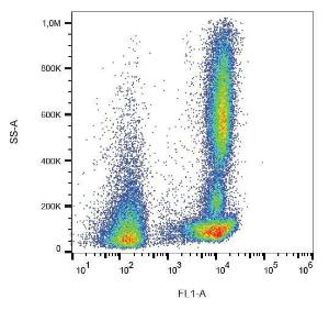 Antibody anti-CD46 MEM-258 FITC