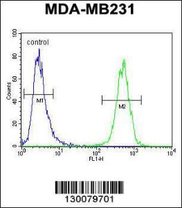 Anti-HHLA2 Rabbit Polyclonal Antibody