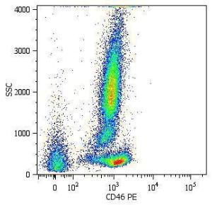 Anti-CD46 Mouse Monoclonal Antibody [Clone: MEM-258] (PE (Phycoerythrin))