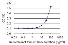 Anti-FN3K Mouse Monoclonal Antibody [clone: 4F2]