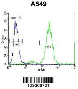 Anti-EDN1 Rabbit Polyclonal Antibody