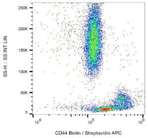 Surface staining of human peripheral blood leukocytes with Anti-CD44 Antibody (A85621)