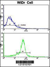 Anti-TPH1 Rabbit Polyclonal Antibody (Biotin)