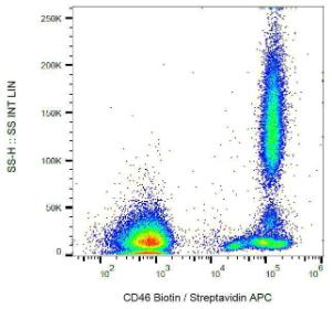 Surface staining of human peripheral blood cells with Anti-CD46 Antibody (A85622)