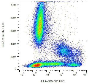 Surface staining of human peripheral blood with Anti-HLA DR + DP Antibody (A85626)