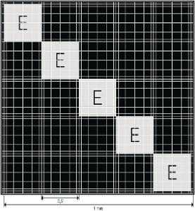 Cellule de Neubauer modifiée