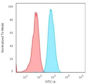 Anti-Cytokeratin 4 antibody