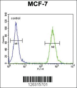 Anti-TTPAL Rabbit Polyclonal Antibody