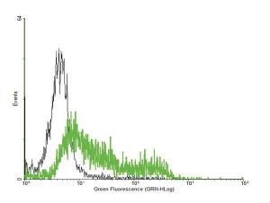 Anti-IL4R Mouse Polyclonal Antibody