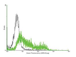 Anti-IL4R Mouse Polyclonal Antibody