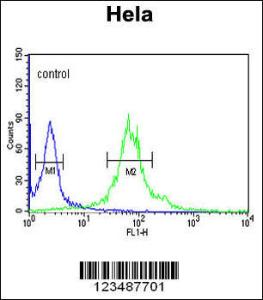 Anti-IPO11 Rabbit Polyclonal Antibody (FITC (Fluorescein))