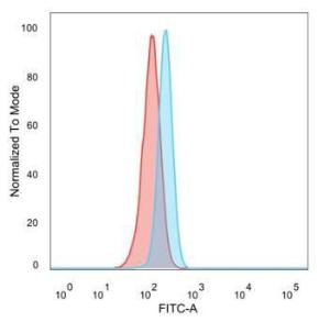 Flow cytometric analysis of PFA-fixed HeLa cells using Anti-RBMS2 Antibody [PCRP-RBMS2-1B6] followed by Goat Anti-Mouse IgG (CF and #174; 488) (Blue). Isotype Control (Red)