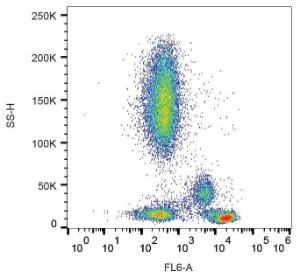 Surface staining of human peripheral blood with Anti-CD4 Antibody (A85638)