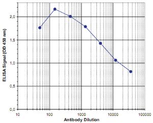 Anti-MBD3 Rabbit Polyclonal Antibody