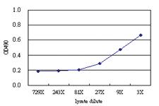 Anti-BAIAP2 Antibody Pair