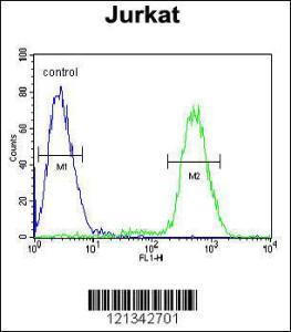 Anti-PPP1R3A Rabbit Polyclonal Antibody