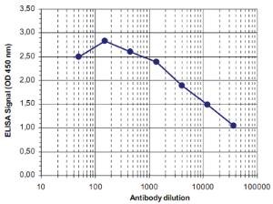 Anti-MBD4 Rabbit Polyclonal Antibody