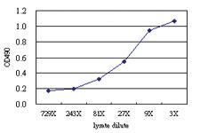 Anti-STBD1 Antibody Pair