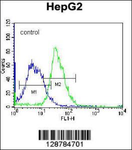 Anti-PLEKHH1 Rabbit Polyclonal Antibody (HRP (Horseradish Peroxidase))