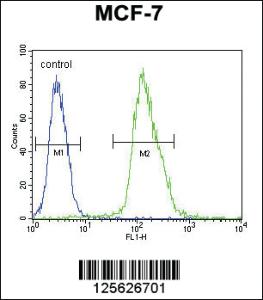 Anti-MFAP4 Rabbit Polyclonal Antibody