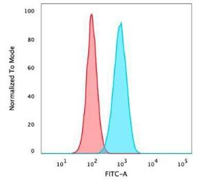 Flow cytometric analysis of PFA fixed HeLa cells using Anti-p40 Antibody [ZR8] followed by Goat Anti-Rabbit IgG (CF&#174; 488) (Blue). Isotype Control (Red)