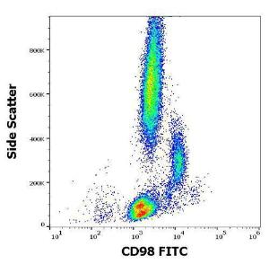 Flow cytometric analysis of human peripheral whole blood stained with Anti-CD98 Antibody [MEM-108] (FITC) (20 µl reagent/100 µl of peripheral whole blood)