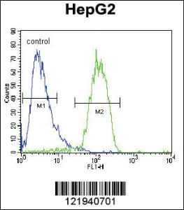 Anti-RASGRP1 Rabbit Polyclonal Antibody