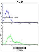 Anti-Inositol Polyphosphate 4-phosphatase Type II Rabbit Polyclonal Antibody (AP (Alkaline Phosphatase))