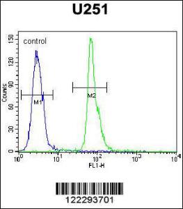 Anti-COPZ2 Rabbit Polyclonal Antibody