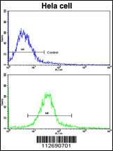 Anti-ERAS Rabbit Polyclonal Antibody (AP (Alkaline Phosphatase))