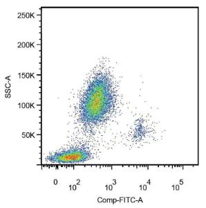 Surface staining of human peripheral blood leukocytes using Anti-CD14 Antibody (A85708)