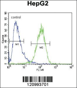 Anti-HEXA Rabbit Polyclonal Antibody