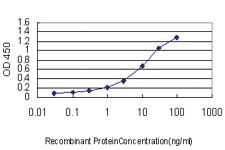 Anti-ARHGDIA Mouse Monoclonal Antibody [clone: 1E12-2G11]