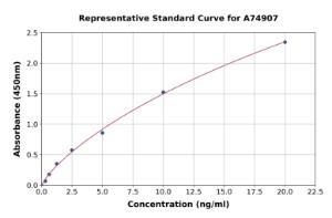 Representative standard curve for Rat iNOS ELISA kit (A74907)