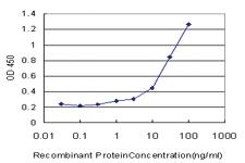 Anti-RHOH Mouse Monoclonal Antibody [clone: 3D3]