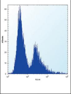 Anti-PLOD1 Rabbit Polyclonal Antibody (APC (Allophycocyanin))