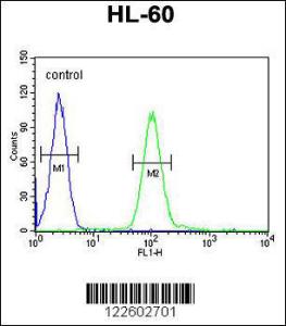 Anti-COQ7 Rabbit Polyclonal Antibody