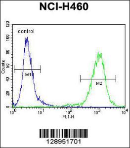 Anti-MIER2 Rabbit Polyclonal Antibody (Biotin)