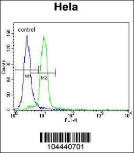 Anti-UBE3A Rabbit Polyclonal Antibody