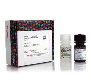 Protein immunodetection reagents, SuperSignal™ West Femto maximum sensitivity substrate