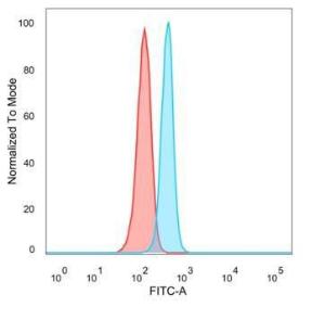 Flow cytometric analysis of PFA-fixed HeLa cells using Anti-Bcl-6 Antibody [PCRP-BCL6-1D3] followed by Goat Anti-Mouse IgG (CF&#174; 488) (Blue). Unstained cells (Red)