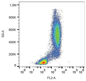 Surface staining of CD114 in human peripheral blood with Anti-CD114 Antibody (A85748)