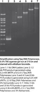 VWR®, Taq DNA polymerase, 500 U