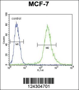 Anti-RPS24 Rabbit Polyclonal Antibody