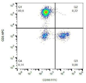 Anti-CD16 antibody