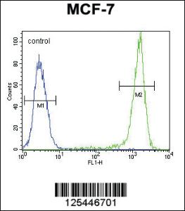 Anti-SGMS2 Rabbit Polyclonal Antibody