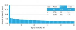 Analysis of protein array containing more than 19,000 full-length human proteins using Anti-c-Kit Antibody [KIT/2669]