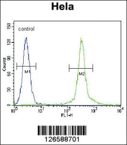 Anti-CMPK2 Rabbit Polyclonal Antibody