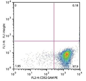 Flow cytometry analysis of CD52 in patients suffering with Acute Lymphoblastic Leukemia (Anti-CD52 Antibody (A85766). Detection by Goat Anti-Mouse IgG2b Antibody PE). CD52 negative pro T ALL (gate leukemic cells)