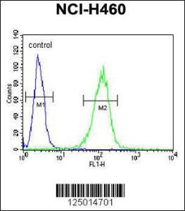 Anti-COQ9 Rabbit Polyclonal Antibody (AP (Alkaline Phosphatase))